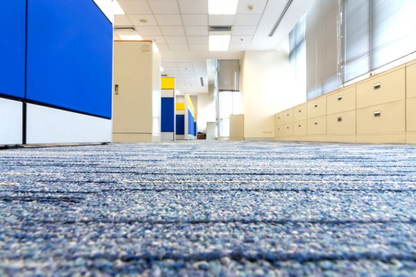 Business Carpet Cleaning in Marana