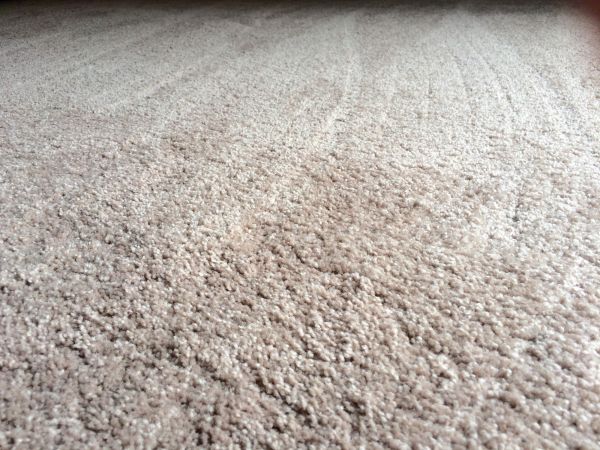 Plush Carpet Installation in Marana