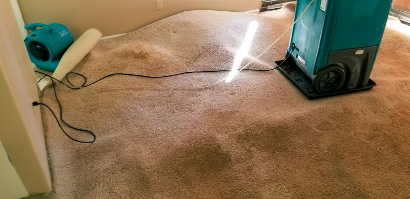 Deep Carpet Restoration